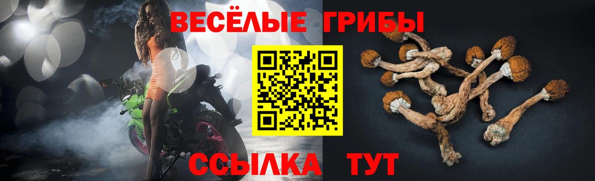 наркотики  Вход с VPN  Горно-Алтайск  Галлюциногенные грибы Psilocybine cubensis  Галлюциногенные грибы Psilocybine cubensis 